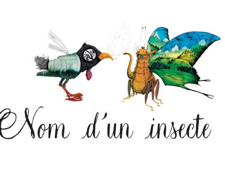 EXPOSITION : NOM D'UN INSECTE !