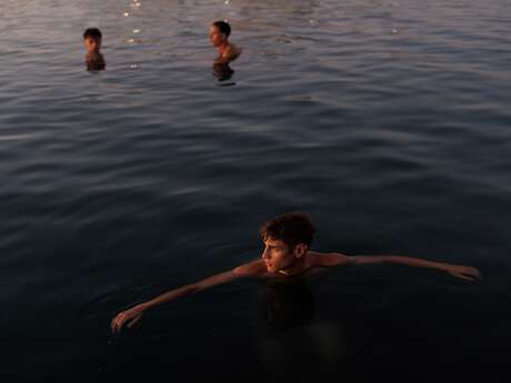 EXPOSITION STÉPHANIE LACOMBE SEULES LES RACINES RESTENT