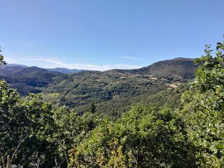 CIRCUIT N°2 LUNAS - LA GRANDE BOUCLE DE JONCELS - SITE VTT-FFC GRAND ORB EN HAUT-LANGUEDOC