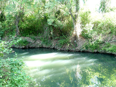 BALADE NATURE POUR DÉCOUVRIR LE  SALAISON AU CRÈS