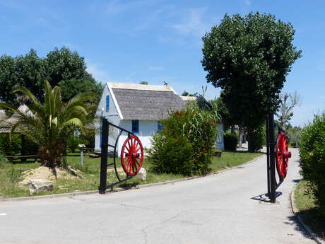 CAMPING LE CAMARGUAIS