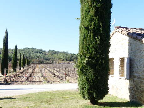 DOMAINE HAUT-LIROU - SALLE DE RÉCEPTION