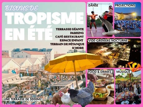 TROPISME EN ÉTÉ