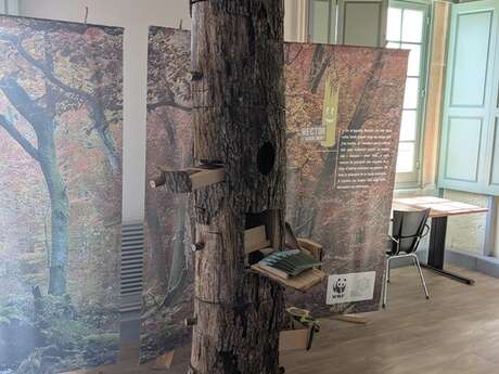 ATELIER / JEU : HECTOR UN ARBRE PLEIN DE VIE