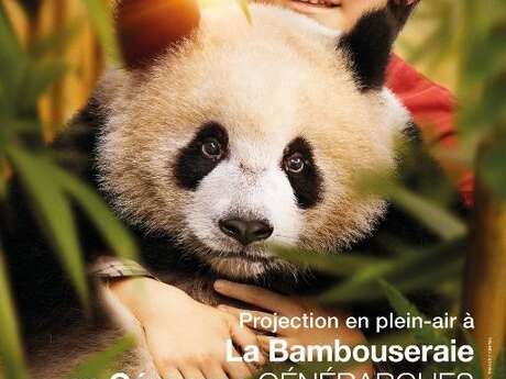 CINÉMA EN PLEIN AIR - MOON LE PANDA