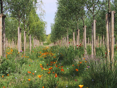 PARC GEORGES CHARPAK