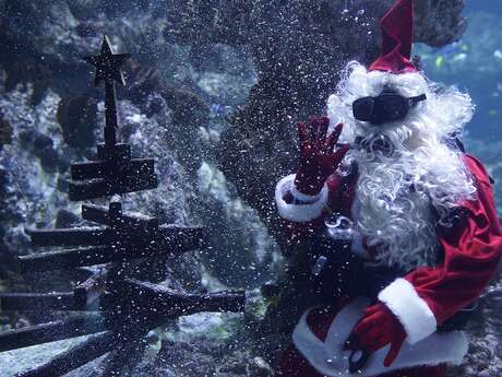 LES VACANCES DE NOEL AU PLANET OCEAN MONTPELLIER