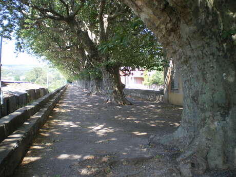 DIGUE DE LA PERSPECTIVE