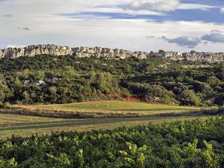 LES BARRES ROCHEUSES DE CAZEDARNES