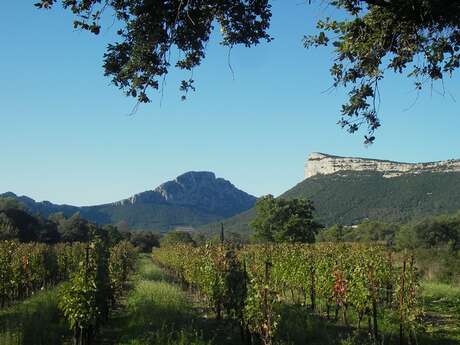 HERAULT RIVER CANYONS & MONTPELLIER GARRIGUE COUNTRY