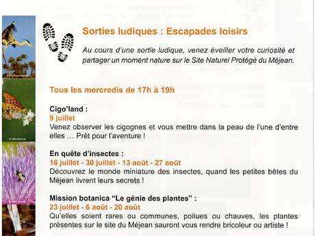 SORTIES LUDIQUES - ESCAPADE LOISIRS