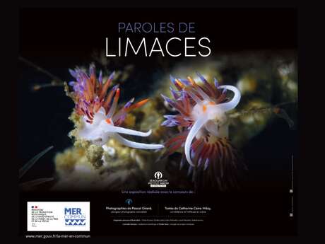 EXPOSITION « PAROLES DE LIMACES »