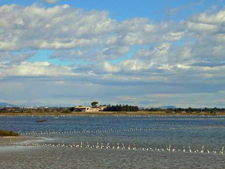 SALT-PANS WALK