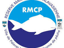 ATELIERS CRÉATIFS DE LA RÉSERVE MARINE CÔTE PALAVASIENNE