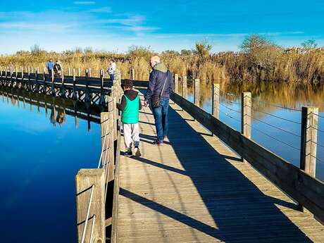 RANDONNEE SENTIER DES TAMARIS - SITE NATUREL PROTÉGÉ DU MÉJEAN