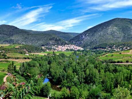 ROUTE DES VINS DU CANAL DU MIDI A SAINT-CHINIAN