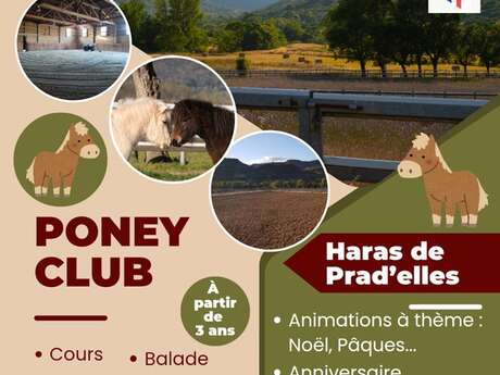 HARAS DE PRAD ELLES