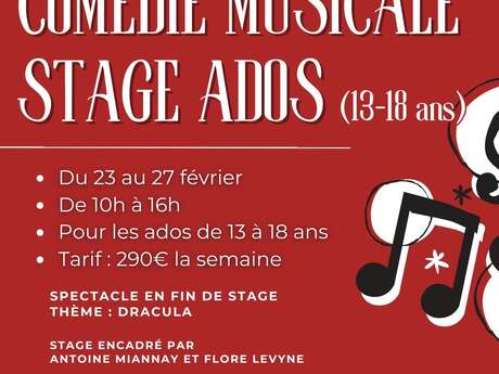 STAGE DE COMÉDIE MUSICALE (13-18 ANS)