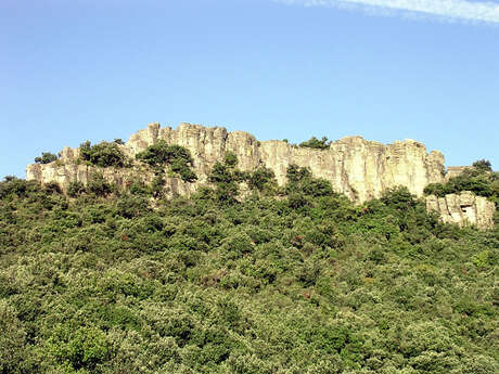 DÉCOUVERTE “LES ORGUES DE TAUSSAC”