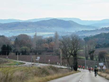 CIRCUIT VÉLO : TERROIR OCEANIQUE BOUCLE COURTE