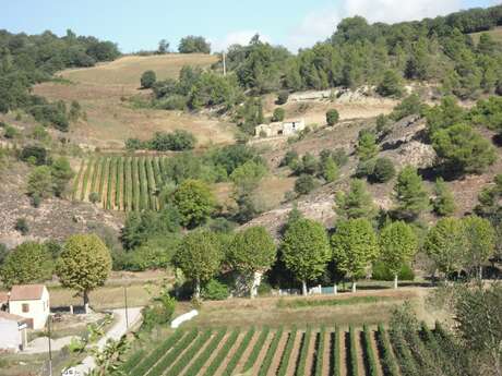 CIRCUIT VÉLO : TERROIR AUTAN - BOUCLE LONGUE