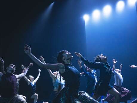 HOFESH SHECHTER  THEATRE OF DREAMS