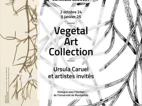 EXPOSITION "VEGETAL ART COLLECTION, URSULA CARUEL ET ARTISTES INVITÉS. DIALOGUE AVEC L’HERBIER DE L’UNIVERSITÉ DE MONTPELLIER "