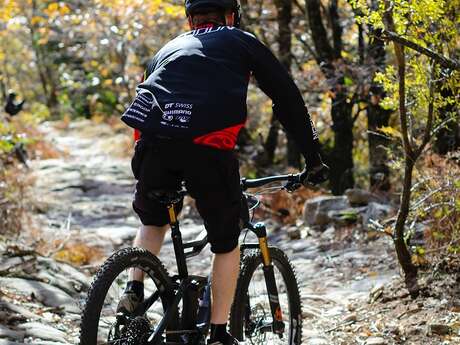 CIRCUIT N°14 BABEAU CAUDURO - SITE VTT DU TERROIR SAINT-CHINIANAIS