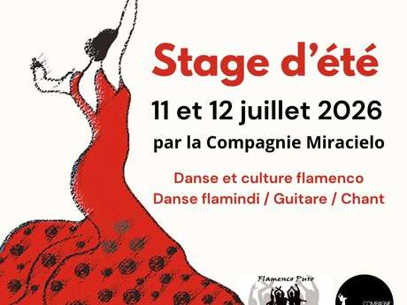 VERANO FLAMENCO