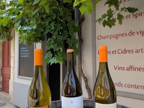 DÉGUSTATIONS "LES VINS ORANGES "