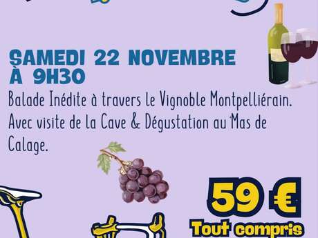 BALADE GUIDÉE VIGNOBLE & DEGUSTATION PAR MONTPEL' À VÉLO