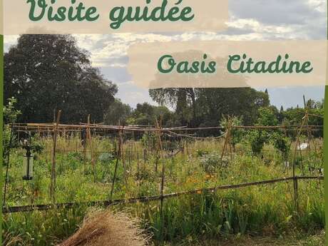 VISITE GUIDÉE DÉCOUVERTE DE LA PERMACULTURE - OASIS CITADINE
