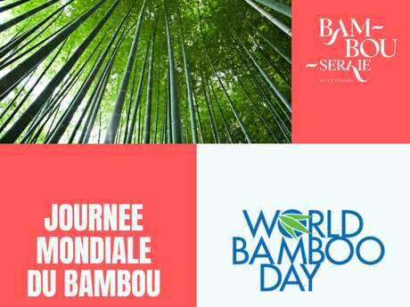 JOURNÉE MONDIALE DU BAMBOU