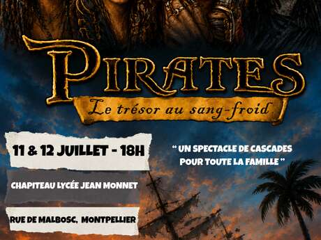 PIRATES : LE TRÉSOR AU SANG FROID