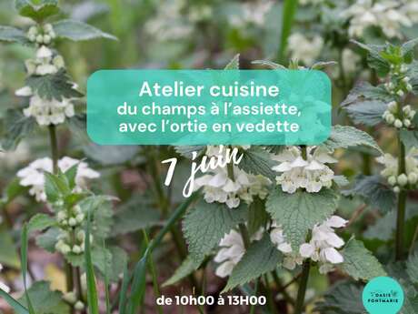 MANGER COMME ON SÈME - ATELIER CUISINE L'ORTIE EN VEDETTE