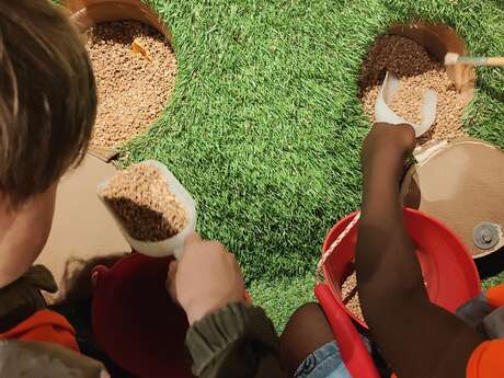 LATTARA - ATELIERS POUR LES ENFANTS - VACANCES D'ETE
