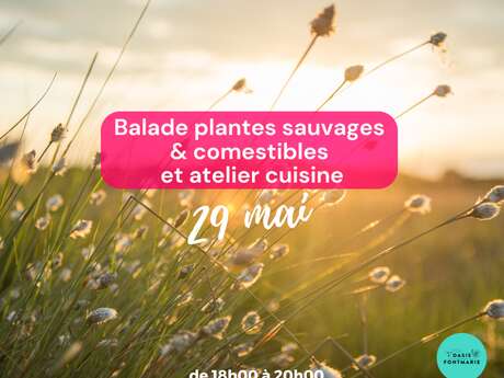 BALADE PLANTES SAUVAGES COMESTIBLES