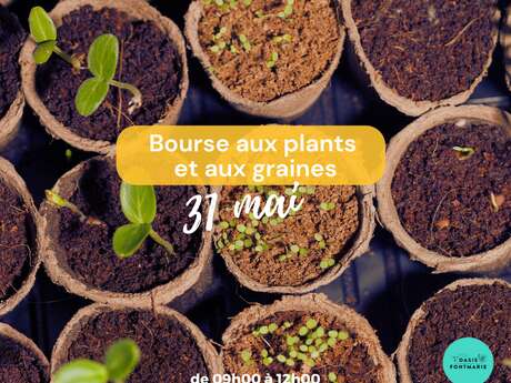 BOURSE AUX GRAINES ET AUX PLANTS