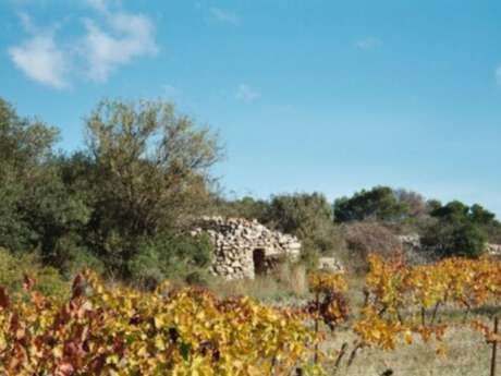 CHÂTEAU BOUSQUETTE