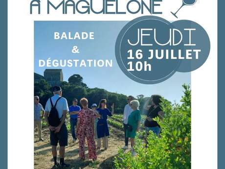 BALADE OENOTOURISTIQUE ET DÉGUSTATION AU COMPTOIR DES COMPAGNONS