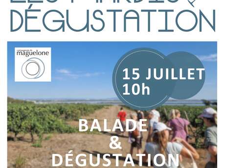 BALADE OENOTOURISTIQUE ET DÉGUSTATION AU COMPTOIR DES COMPAGNONS