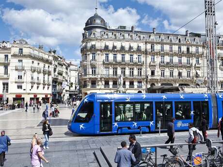 VISITE DU CENTRE VILLE ADAPTÉE - ACCESSIBLE, HANDICAP AUDITIF