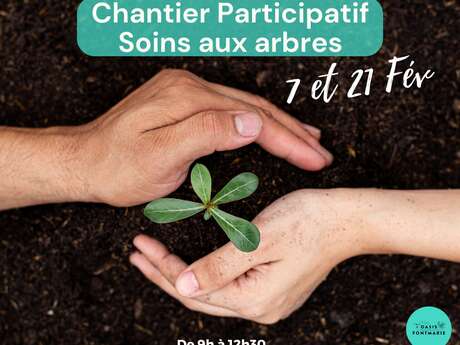 CHANTIER COLLECTIF "SOIN AUX ARBRES"