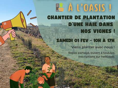 CHANTIER PARTICIPATIF DE PLANTATION D'UNE HAIE DANS LES VIGNES