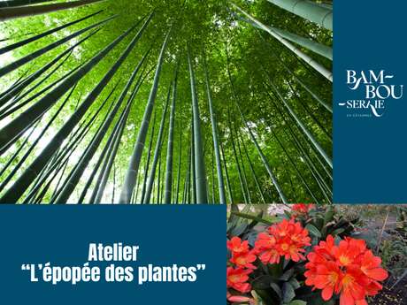 ATELIER “L’ÉPOPÉE DES PLANTES”