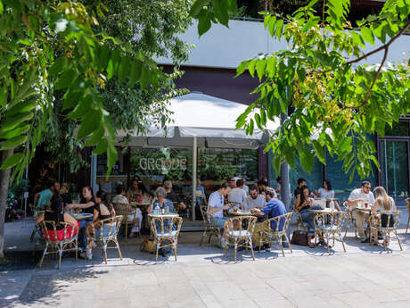 GROOVE CAFÉ