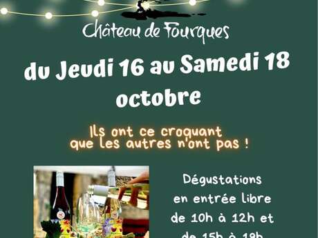 SORTIE DES VINS PRIMEURS 2025