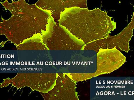 EXPOSITION "VOYAGE IMMOBILE AU CŒUR DU VIVANT"