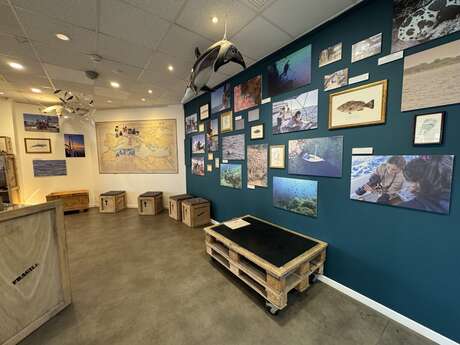 EXPOSITION "AU FIL DE NOS EXPÉDITIONS"