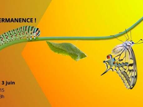 CONFÉRENCE VIVE L'IMPERMANENCE !